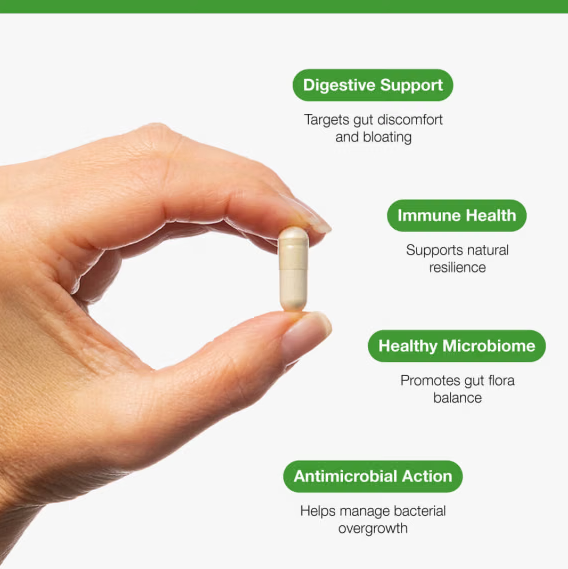 Candex SIBO | 45 Capsules