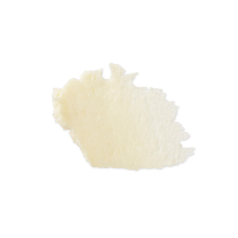 Evolve Organic Beauty Lip Treat 15ml