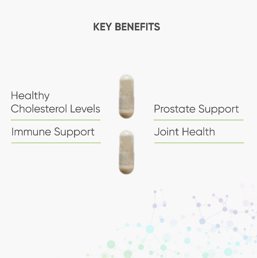 Plant Sterol Complex  | 30 Capsules | Metagenics